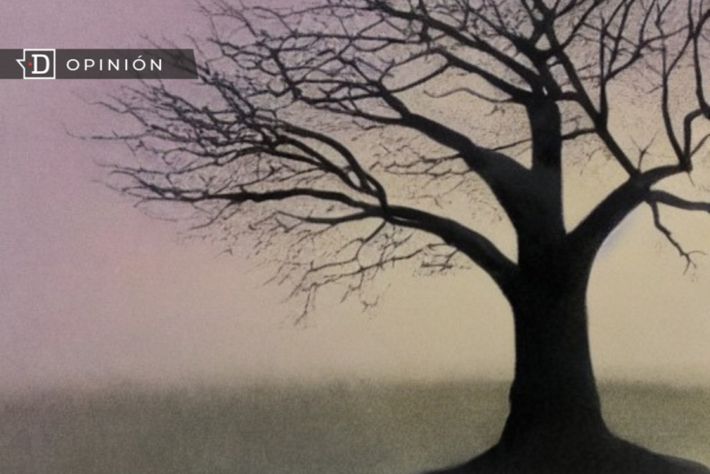 sombras opinion e1700579904442.png