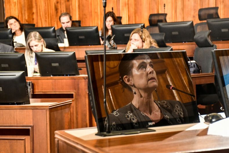 Veronica Undurraga presidenta de la Comision Experta.jpg