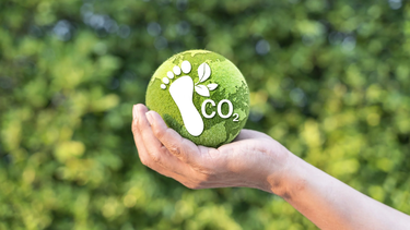 Hito en sostenibilidad: 3.000 organizaciones en Chile han sido certificadas por reducir contaminación.