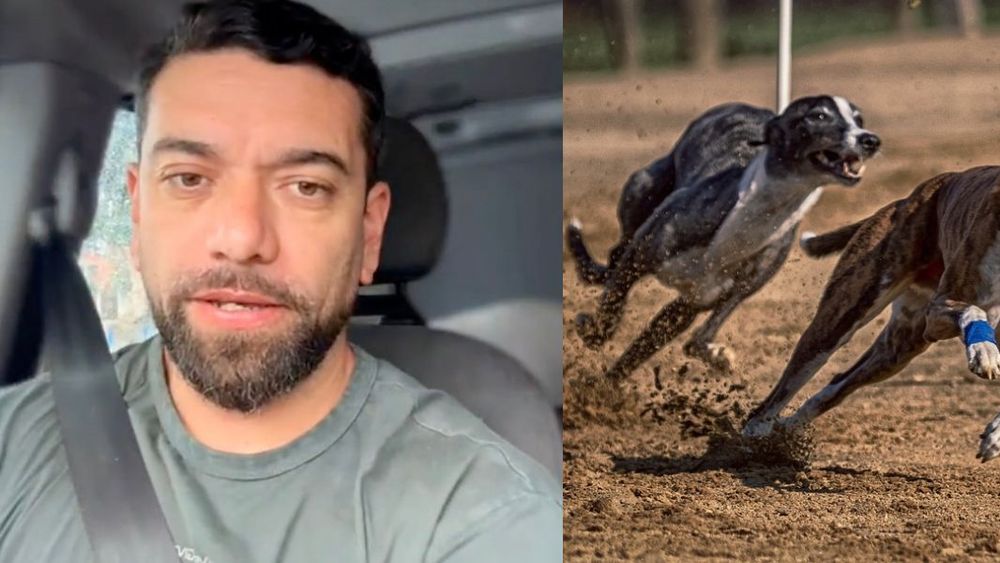 Luis Galgo denuncia amenazas de galgueros previo a votación de las carreras de perros en la Cámara.&nbsp;