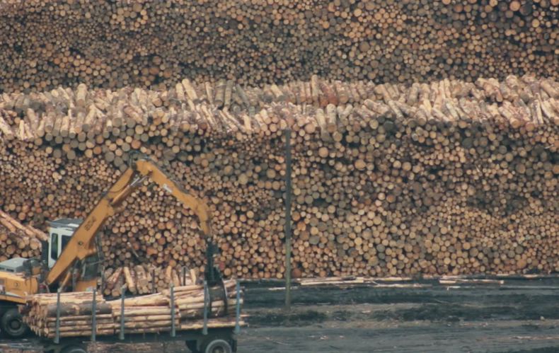 Agua es vida e1714399650158.png