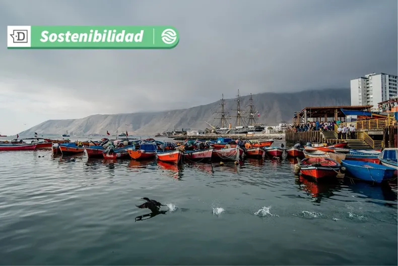 16558 diseno sin titulo 2025 05 30t105307.webp