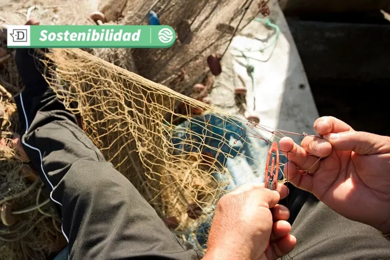 17557 diseno sin titulo 2025 06 16t164321.webp