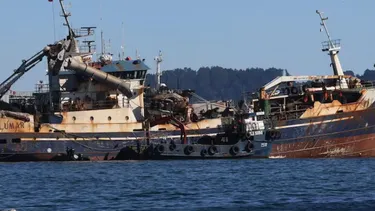 Siempre quiso decir la verdad: Hijo de vigía del Cobra revela confesión póstuma de su padre por caso Bruma