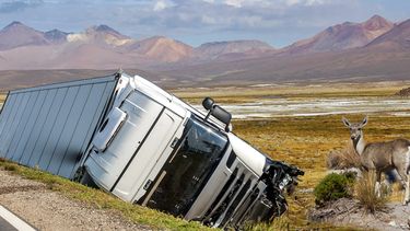 Camiones volcados derramando petróleo y tarucas atropelladas son parte de las denuncias en la ruta 11CH.&nbsp;