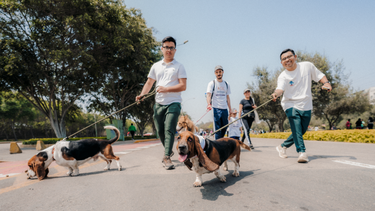 Premiarán mejor disfraz y mejor gracia: Perros se toman Santiago con corrida de hasta 3 km