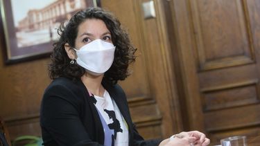 Ministra Toro declara acciones de su familia en minera Dominga: “Me inhabilité a priori”