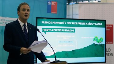 Ministro de Bienes Nacionales zanja polémica protagonizada por presidente de Gasco en lago Ranco: No es su jardín, no es una propiedad privada