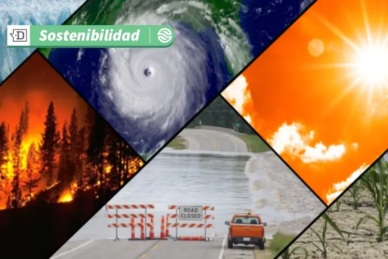 12795 diseno sin titulo 12.webp