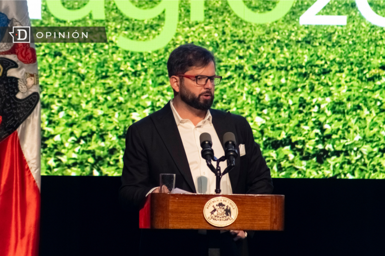 Boric opinion e1698684011273.png