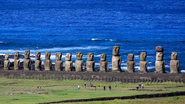 El Desconcierto | 14330 rapa nui.webp