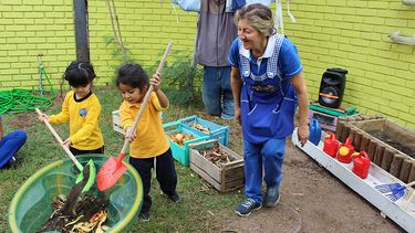 El Desconcierto | JUNJI 2.jpg