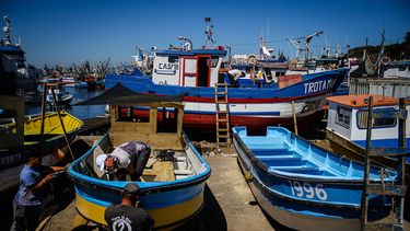 Pescadores tachan de retroceso propuesta que modifica reposición de arrastre de la jibia