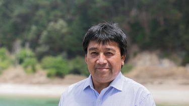 Adolfo Millabur y rechazo de informe indígena: Las principales demandas están incluidas