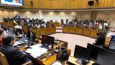Comisión de RREE del Senado manifiesta su indignación por fallecimiento de opositor a Putin