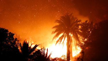 PDI detiene a presunto autor del mega incendio de Viña del Mar en Navidad del 2022
