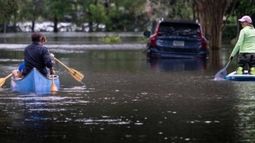 VIDEO | Graban a tiburón nadando en las calles de Florida tras el paso del huracán Ian