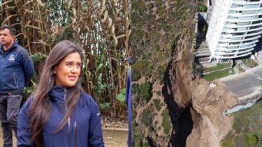 Ripamonti sobre edificio en Concón: “Hubo un lobby feroz para que existiera un desarrollo urbanizado sobre esa área”