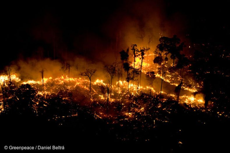 incendio brasil amazonia 1 768x512 1.jpg