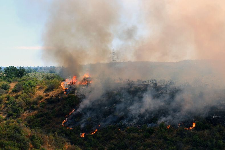 Incendio en el Jardin Botanico de Vina del Mar.jpg