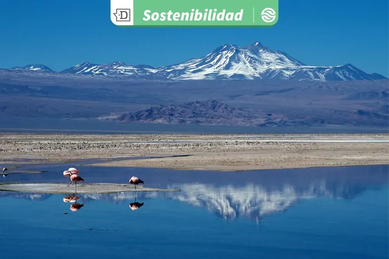 26075 diseno sin titulo 2025 11 19t170132.webp