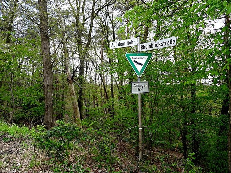 Naturpark_Rhein Westerwald_Rheinbreitbach_fd_1.jpg
