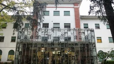 20.000 bebés robados y 600 madres se buscan en Argentina