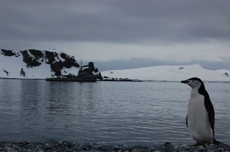 Antartica chilena scaled e1695731894397.jpg