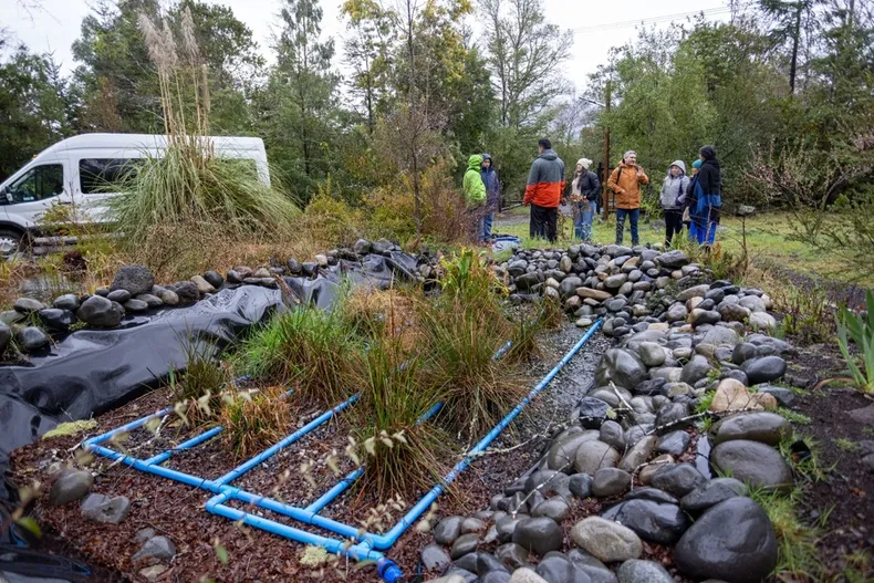 23655 humedales.webp