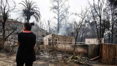 Solo el 6% de las solicitudes de ficha FIBE son de verdaderos damnificados por incendios