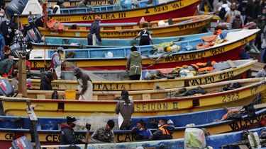 Sector pesquero artesanal unido de forma unánime en apoyo a fraccionamiento