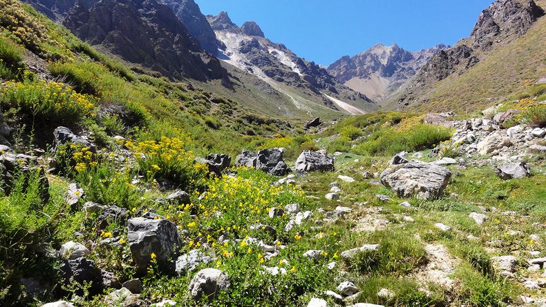 Valle Queremos Parque.jpg