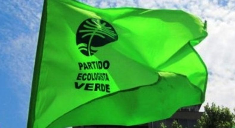 Ecologista verde.jpg