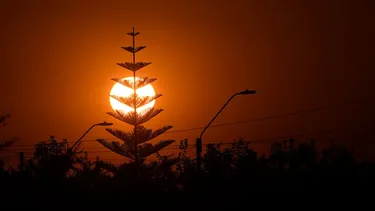 Alerta Meteorológica por calor extremo en zona centro-sur: Más de 38°C en zonas devastadas por incendios forestales