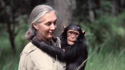 VIDEO | Jane Goodall: “Tu voto puede marcar la diferencia para nuestro futuro”