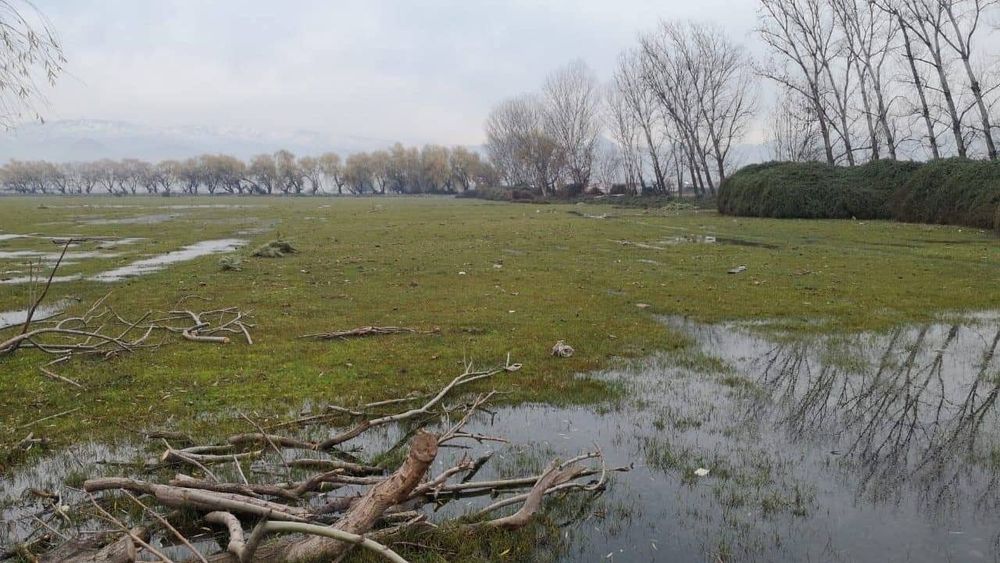 Presentan recurso de invalidación ante el SEA por planta “San Isidro”