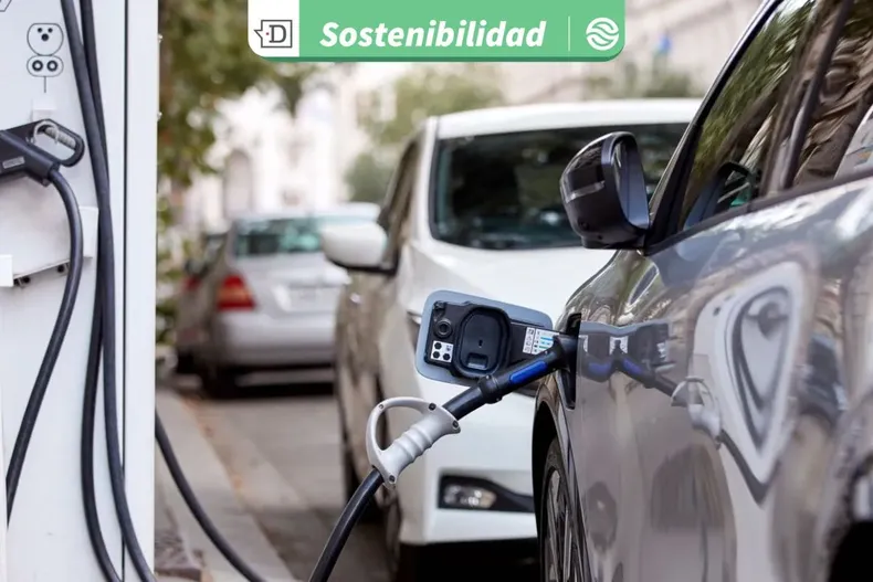 24334 diseno sin titulo 2025 10 17t154606.webp