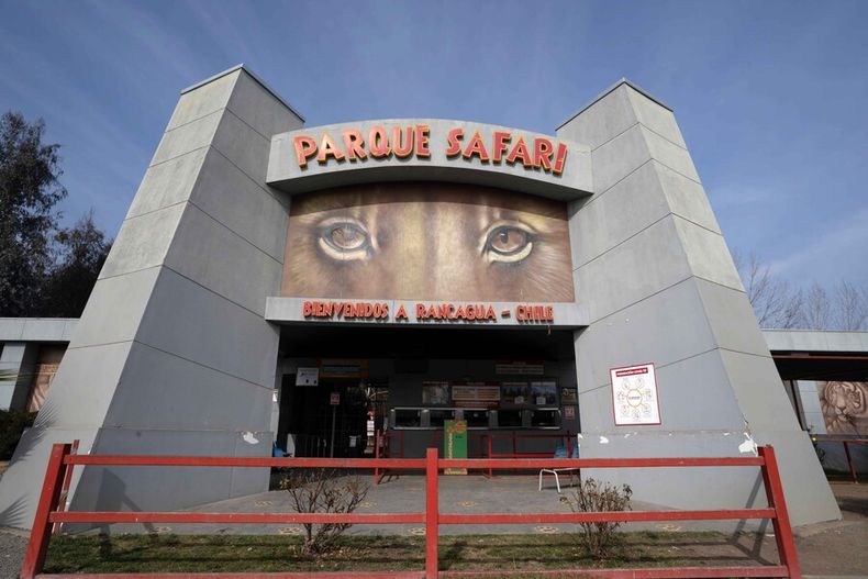 fallecio tras ataque de tigre bengala en parque safari de rancagua  dueno y gerente condenados a prision 540 dias.jpg