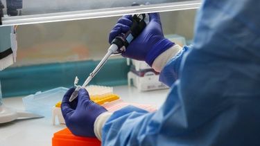Científicos calculan que exitosa vacuna contra el coronavirus estará disponible a fin de año