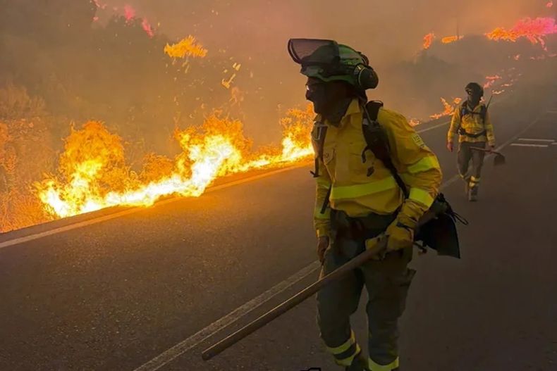 Incendios forestales arrasan con bosques y zonas residenciales - Agencia EFE