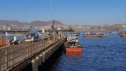 Pescadores y academia compartirán sus conocimientos sobre el mar en innovador proyecto de ciencia ciudadana