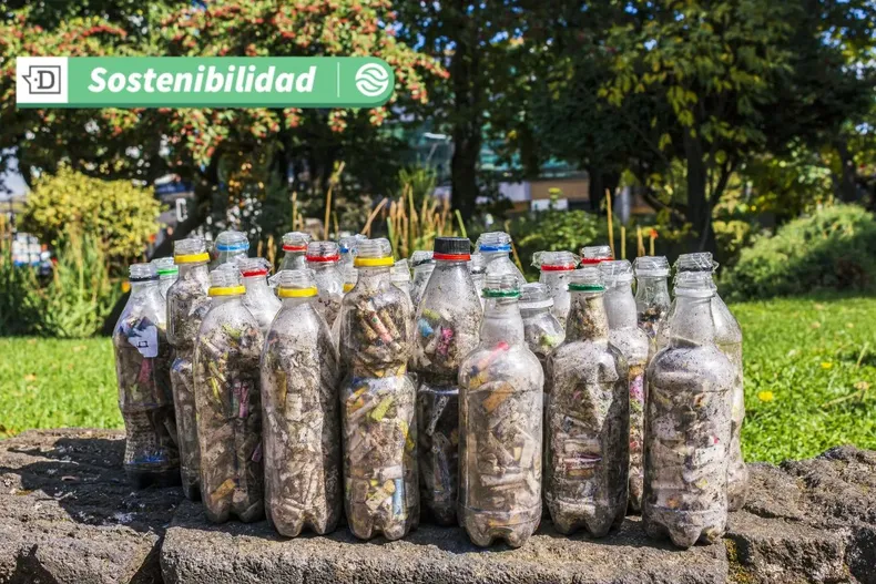 18729 diseno sin titulo 2025 07 07t154541.webp