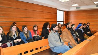 Corte de Apelaciones de Temuco ordena nuevo juicio oral contra Juana Calfunao Paillalef