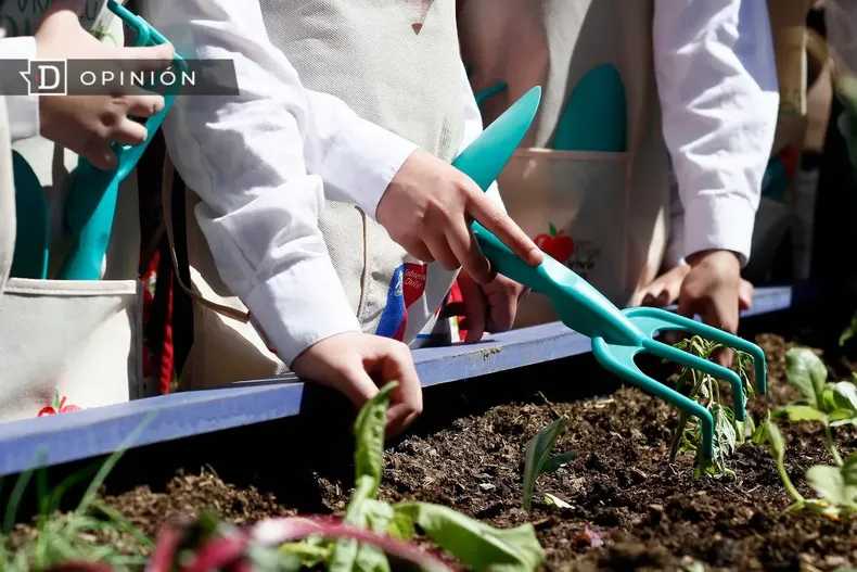 15791 manos de estudiantes trabajando en un huerto.webp