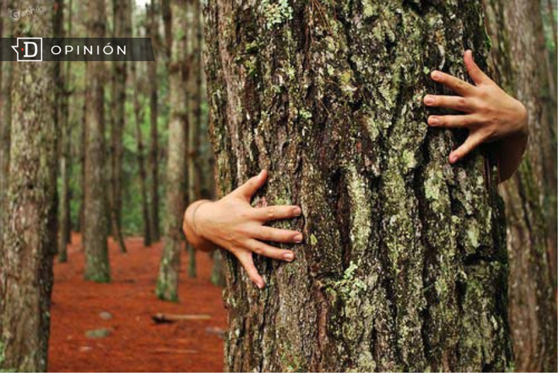 Diseno sin titulo 28.png