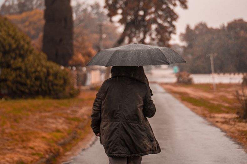 lluvia 2 1.jpg