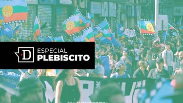 El Desconcierto | Especial_pueblos_originarios.jpg