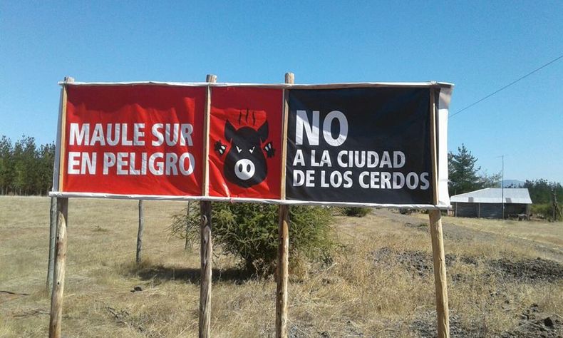 podria ser foto portada.jpg