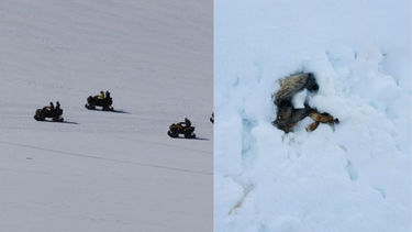 Fiestas con motos de nieve y hasta aeronaves en reserva natural desatan denuncias de Conaf