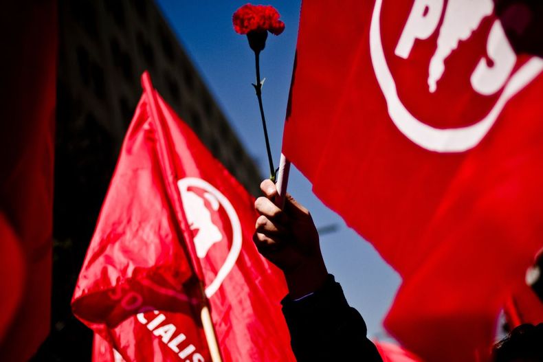 Banderas del Partido Socialista y una mano con un clavel